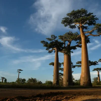 4315977718_ab7851f6c3_b